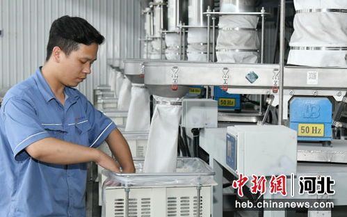 河北任丘 科技賦能企業提檔升級，新材料技術研發引領產業新變革